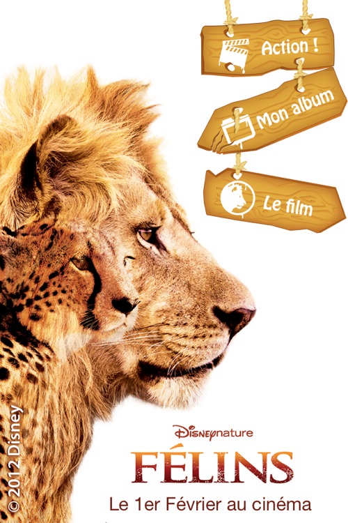 MyFélins - Montage vidéo et photo pour transformer votre chat en félin
