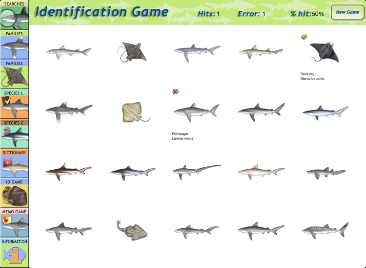 Sharks & Rays - Identification Guide for iPad screenshot-3