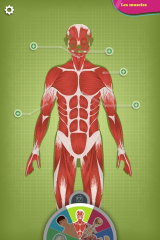 The human body explained by Tom - Discovery screenshot 3