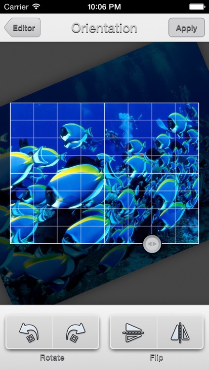Perfect Photo Pro screenshot-4