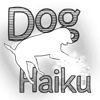 Dog Haiku
