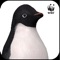 Get your own Adélie Penguin - an interactive 3D virtual gift