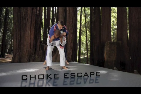 BJJ Throws and Takedowns 1 screenshot 2