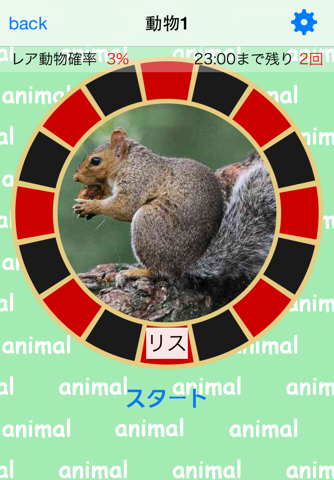 Are you lucky? Animal Spinner screenshot 2
