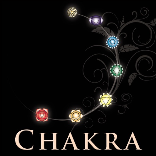 Chakra Wisdom icon