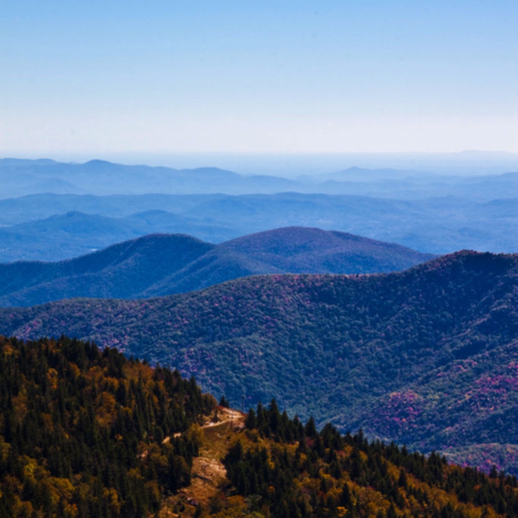 Asheville Explorer's Guide icon