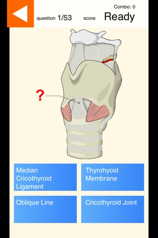 Anatomy Skills - Respiratory System screenshot 2