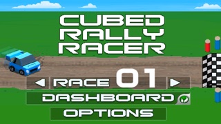 Cubed Rally Racer screenshot1