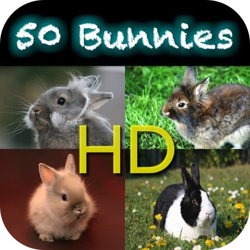 50 Bunnies HD - Cute Sweeties icon