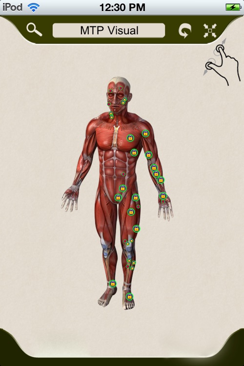 Muscle Trigger Points - Visually Interactive