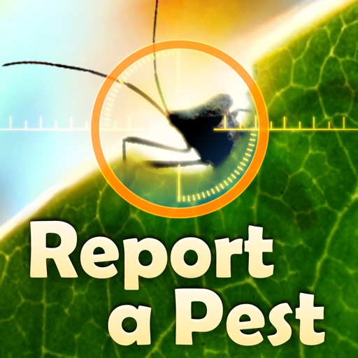 Report A Pest