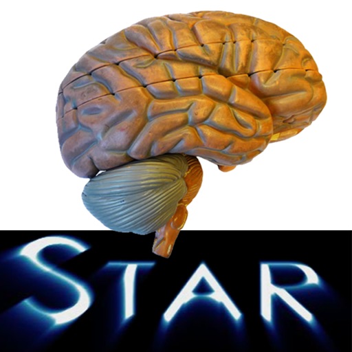 Anatomy Star - CNS (the Brain) Icon