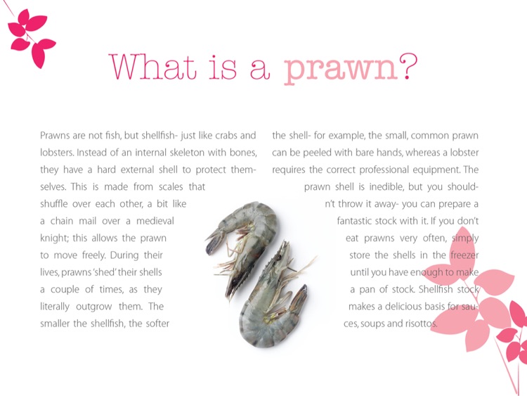 PRAWN: My Favourite Ingredient