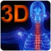 Anatomy3D