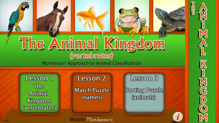 Montessori Approach to Zoology - The Animal Kingdom (Vertebrates)