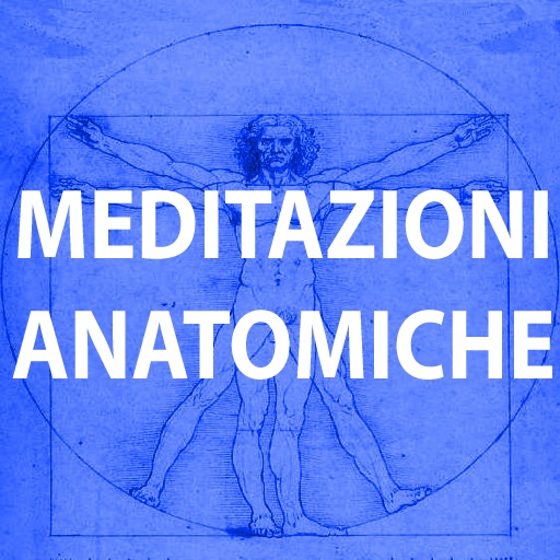 Meditazioni anatomiche