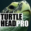 TurtleHead Pro