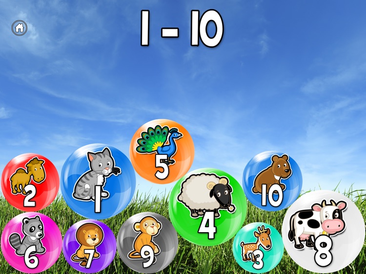 Number Animals