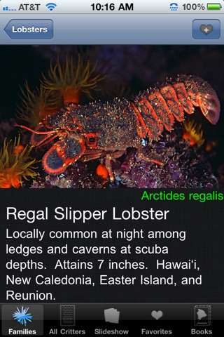 Reef Critters Hawaii screenshot 3