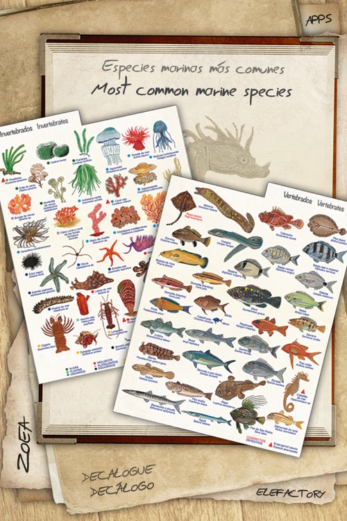 Marine Species