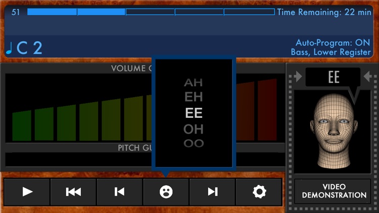 Voice Builder