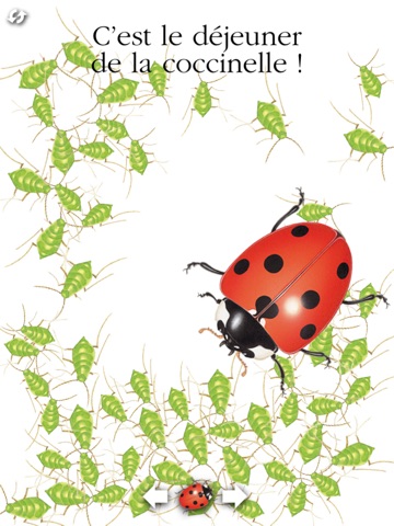 La coccinelle screenshot 4