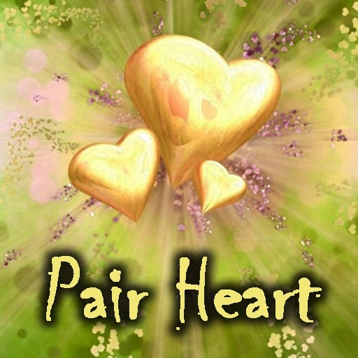Pair Heart icon