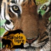 Planète Tigre