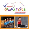 Phoenix Gymnastics & Dance Academy