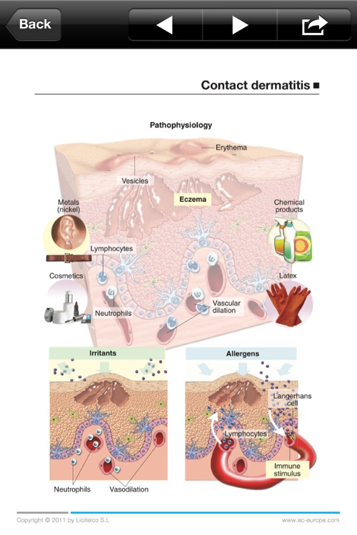 Miniatlas Dermatology