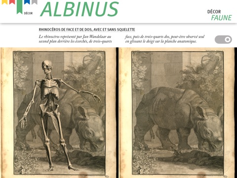 Albinus screenshot 4