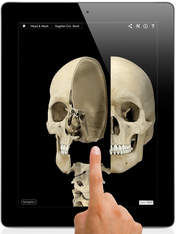 Skeleton System Pro III screenshot-0