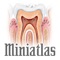 The Miniatlas Dentistry is the perfect pocket tool for physicians