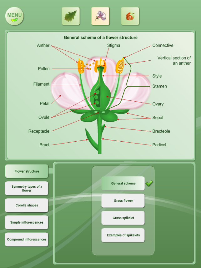 Biology - Plant handbook Free(圖2)-速報App