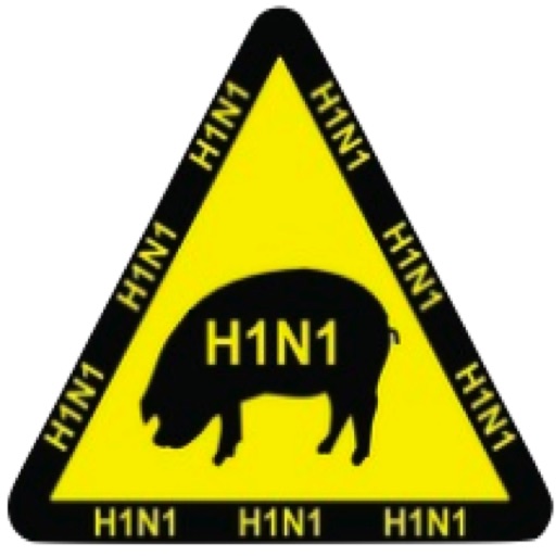 Swine flu symptoms checker icon