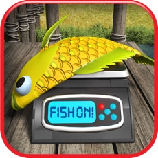 Activities of Fish On! Maze Game for the Mega Fisherman