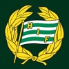 Hammarby Damfotboll