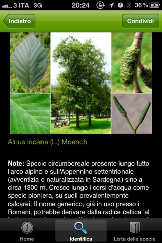 Guida alle piante palustri del Parco Regionale delle Alpi Apuane screenshot 3