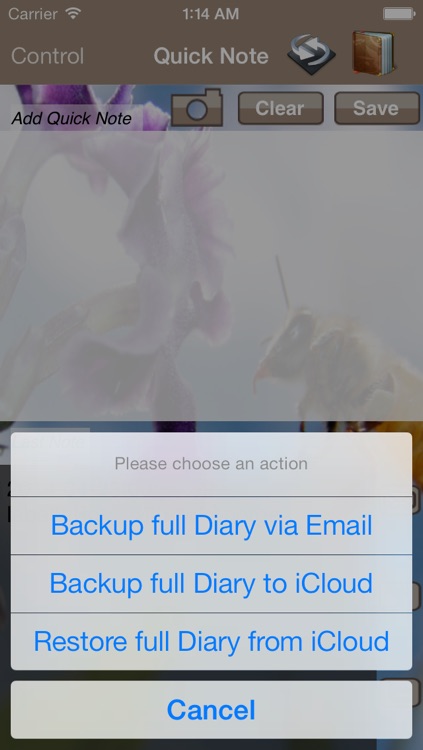 Quick Diary