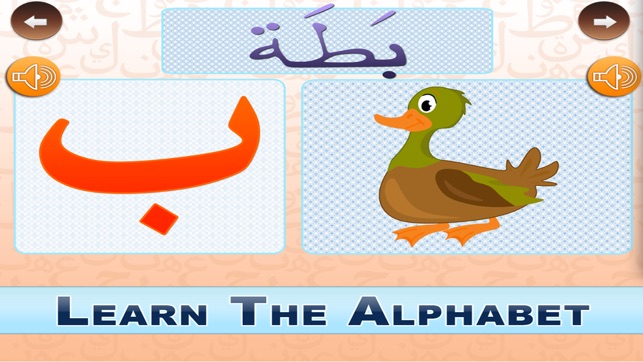 Arabic : Learn Arabic(圖2)-速報App