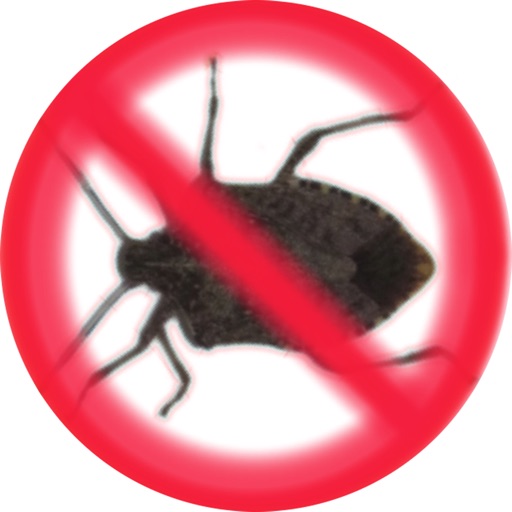 Stink Bugs 1.04 icon