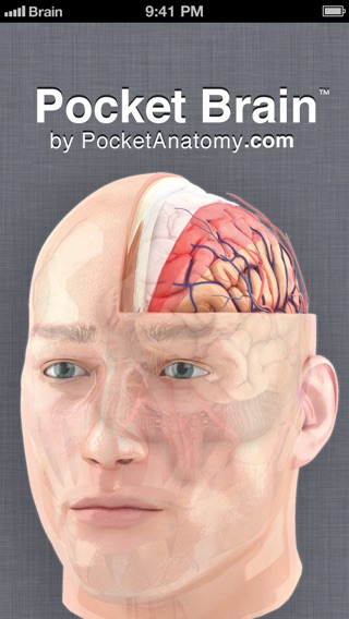 Pocket Brain－インタラクティブ神経解剖学のおすすめ画像1