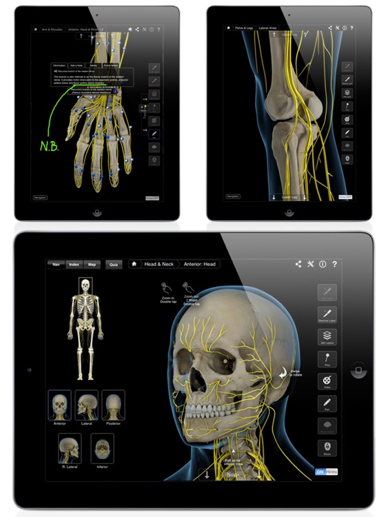 Brain & Nervous System Pro III screenshot-3