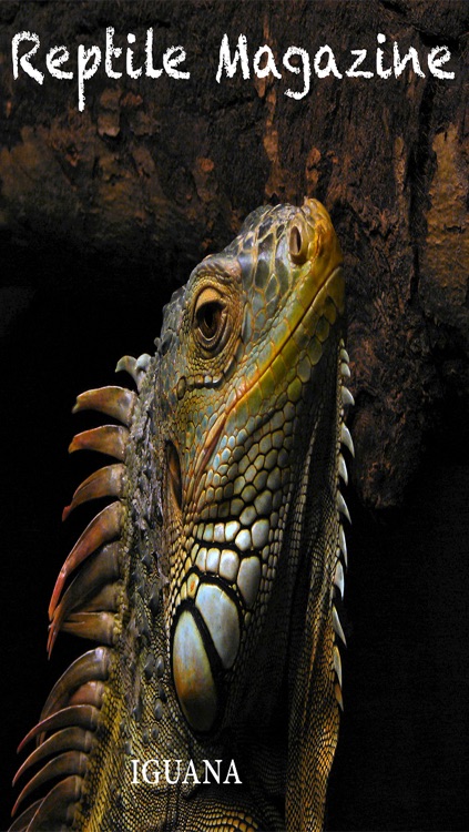 Reptile Magazine