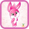 Pink Bunny