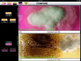Game screenshot BioPaddlesLite hack
