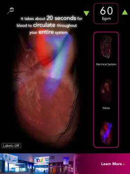 Game screenshot Virtual Heart hack