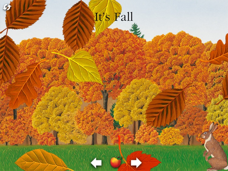 Scholastic First Discovery: The Forest for iPad screenshot-4