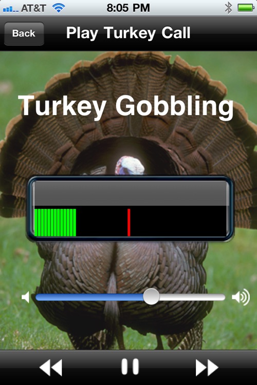 Pro Turkey Calls
