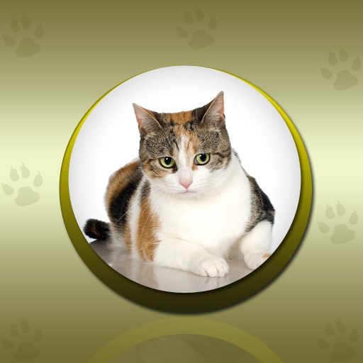 Cat Complete Reference icon